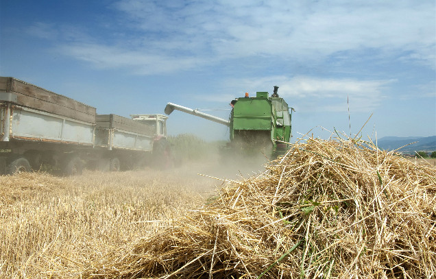 The StrawFeed research will help improve China's straw supply system