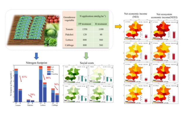 IARRP team highlights environmental and socioeconomic benefits of optimized fertilization for greenhouse vegetables
