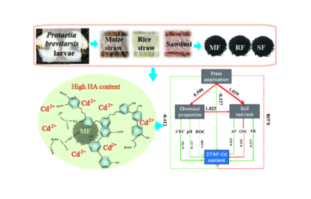 IARRP team reveals mechanism of organic insect frass in immobilizing cadmium and enhancing fertility in alkaline soils