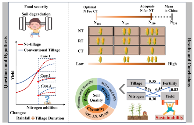 IARRP team proposes rational nitrogen fertilization as a crucial strategy to enhance no-tillage yield potential and sustainable development