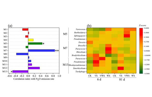 IARRP team reveals microbial mechanisms of hairy vetch and wheat straw co-returning to reduce soil N2O emissions