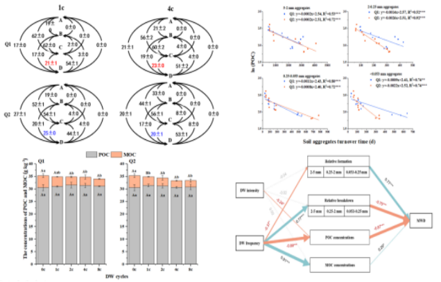 IARRP team clarifies the impact of Drying-wetting cycles on soil structural stability and organic carbon accumulation