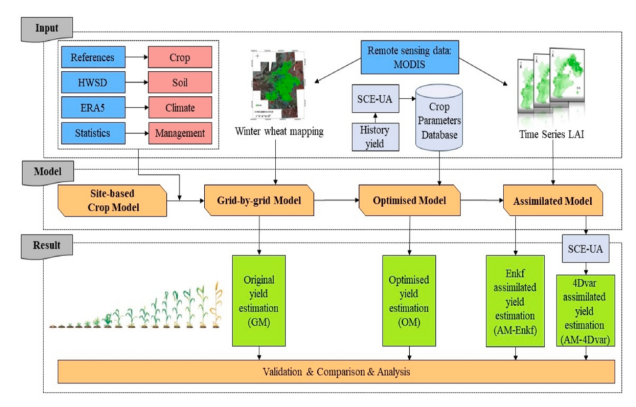 IARRP team proposes grid-based winter wheat yield estimation model using crop models and machine learning