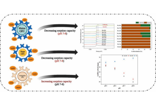 IARRP team reveals the impact of straw-derived dissolved organic matter on arsenic sorption by iron oxides
