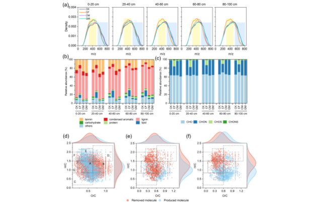 Long-term green manure use found to reduce soil carbon biodegradability