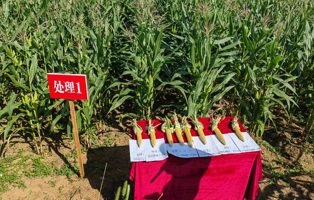 Guiyang hosts R&D meet for southern red, yellow soil challenges