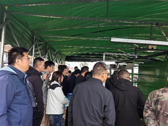 10.jpeg