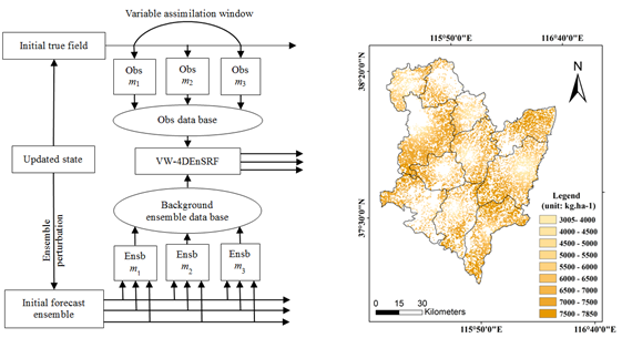 IARRP scientists propose a novel remote sensing data assimilation algorithm for regional yield estimation 